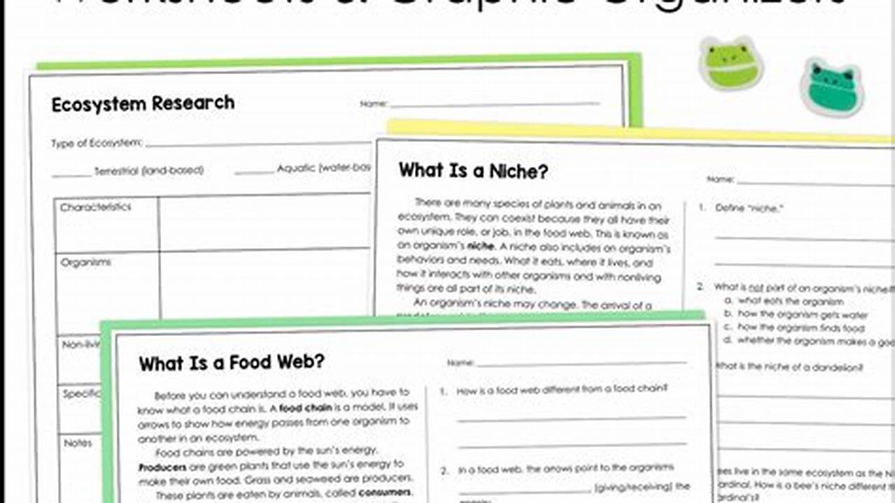 Ecosystem Worksheets For 5th Grade