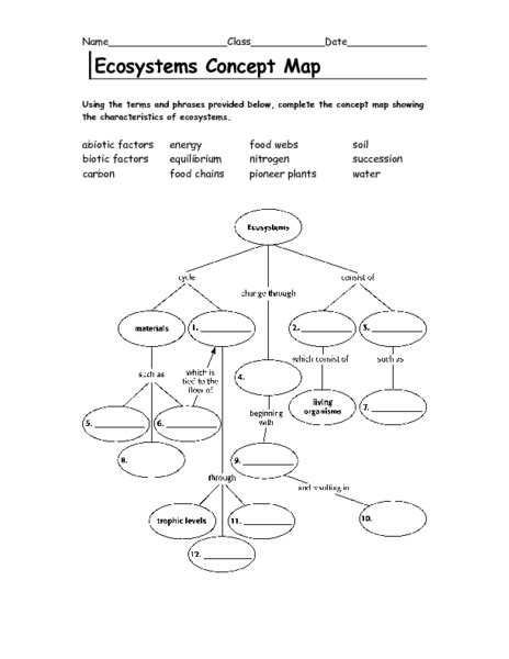 Ecosystem Concept Map Answers