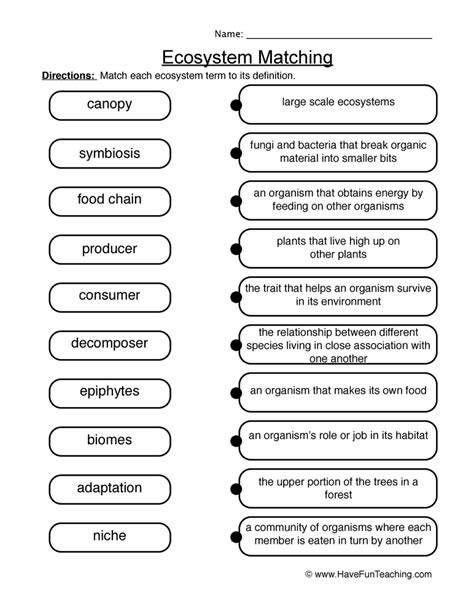 Ecosystems Worksheet Landscape Matching Quiz ALL ESL