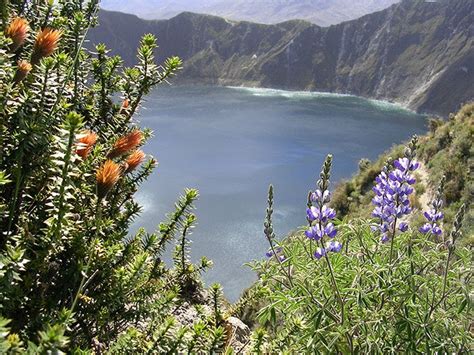 Ecotourism Andes Mountains