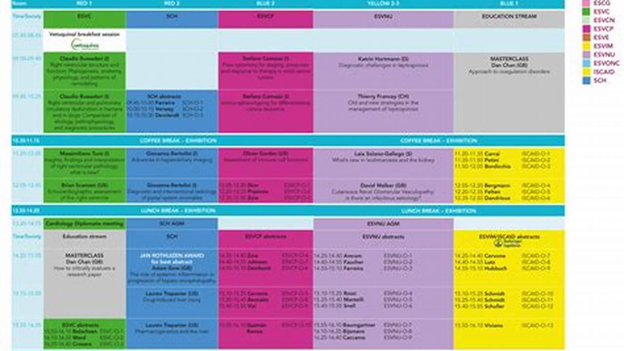 Ecvim 2024 Programming