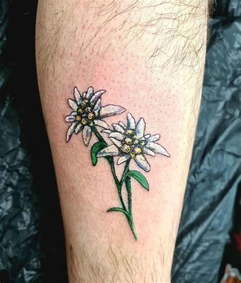 Pin by brooks on tattoos Edelweiss tattoo, Typography