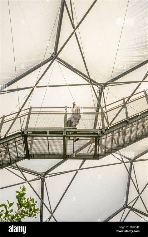 Eden Project Accessibilty