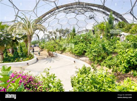 Eden Project Biomes