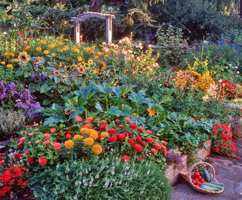 Edible Landscaping Choosing Edible Plants for Your Garden The Old