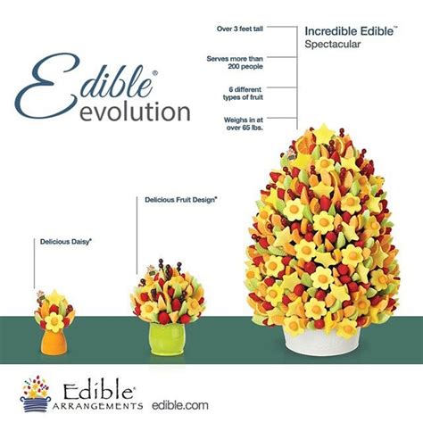 Edible Arrangements Size Comparison Chart