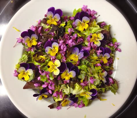 Edible Flowers
