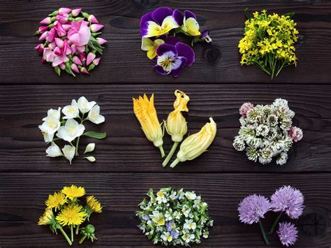 Edible Flowers for Culinary Adventures