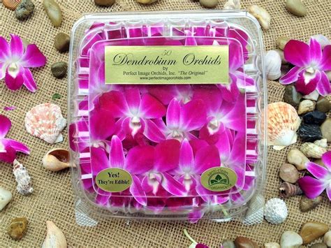 Edible Orchids