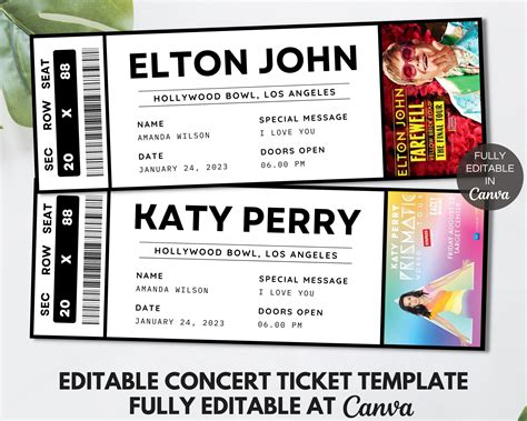 Editable Concert Ticket Template