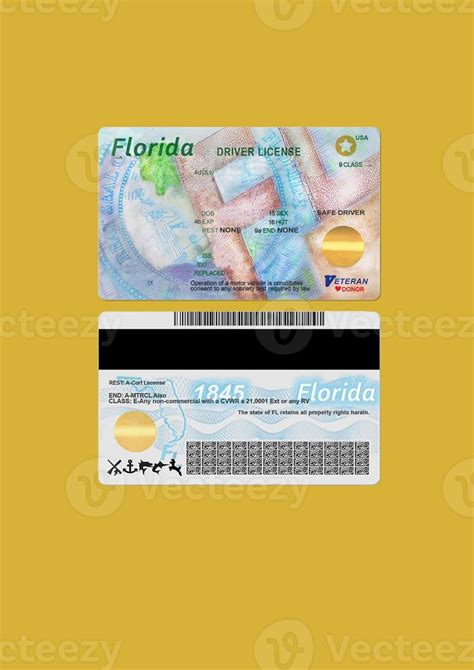 Editable Florida Drivers License Template