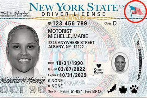 Edl License