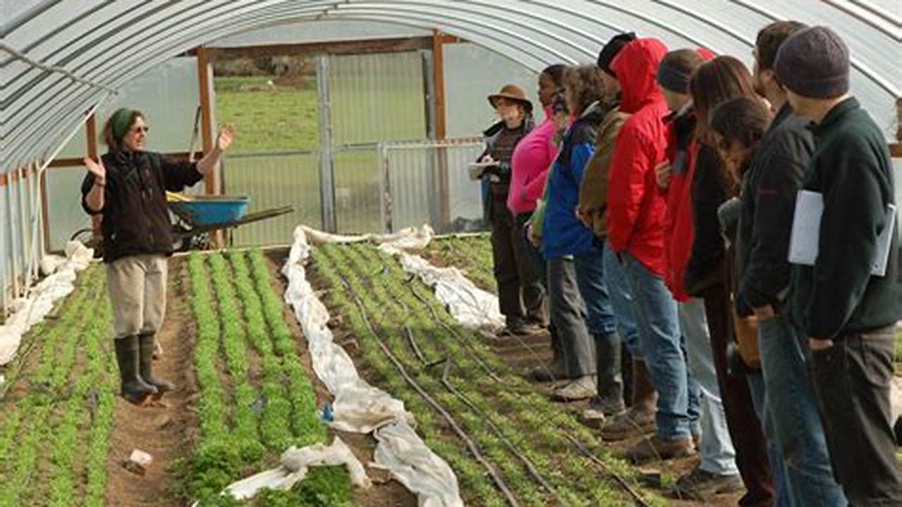 Education And Outreach, DIY Farm