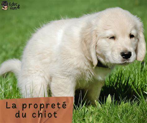 Why It Matters: Education | Introduction to Sociology