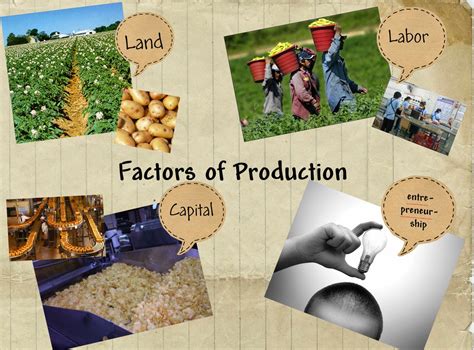 Education is a Key Factor in the Production of Goods and Services