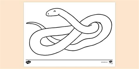 Educational Benefits of Snake Colouring