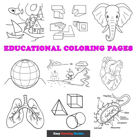 Educational Coloring Pages Learning Through Art