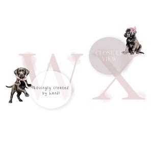 Educational Uses for Labrador Printouts