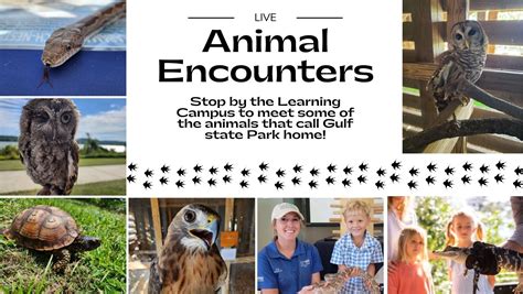 Educational animal encounter