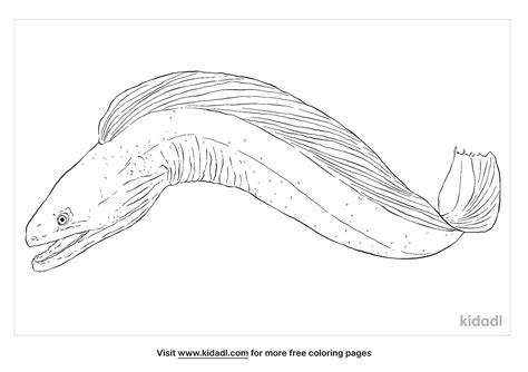 Eel Coloring Page