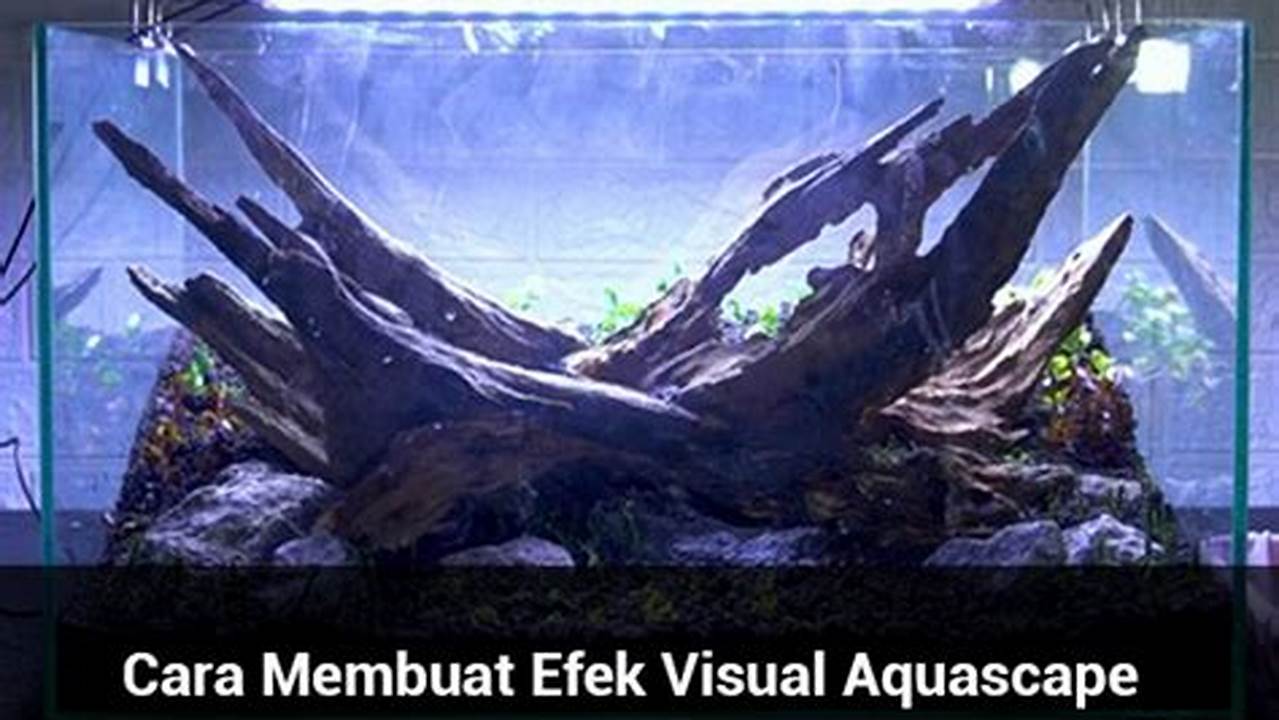 Efek Visual, Resep5k