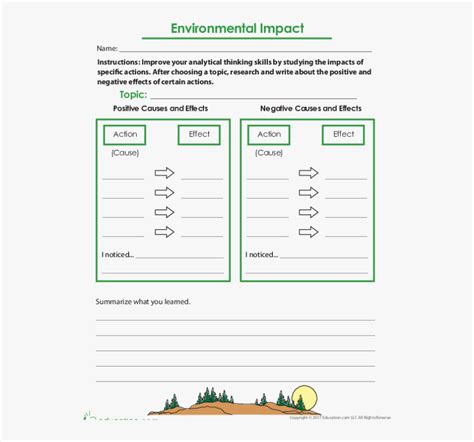 Effects Of The Environment On The Sea Urchin Worksheet Answers