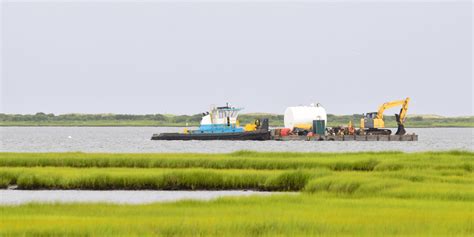 Efficiency of Using a Marsh Pick