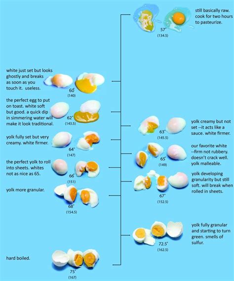 Egg Cook Chart