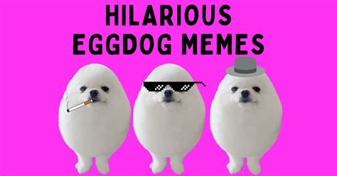 Egg Dog Meme