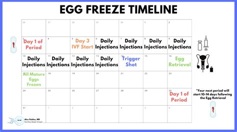 Egg Freezing Calendar