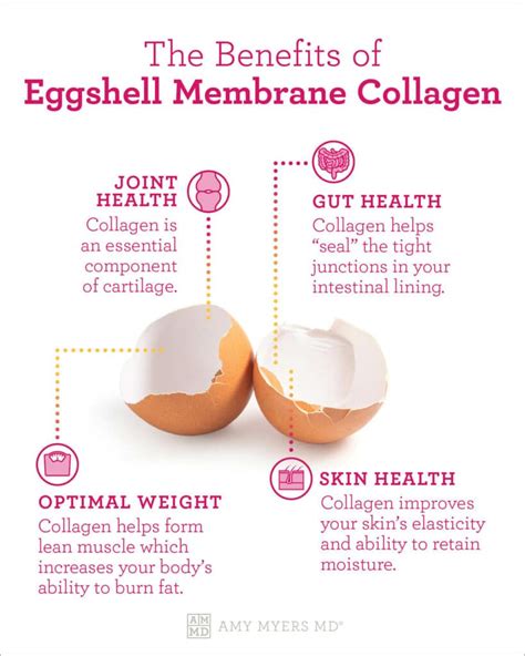 Elevate Your Skincare Game with the Astonishing Benefits of Egg Shell Membrane