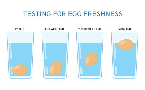 Egg Water Test Chart