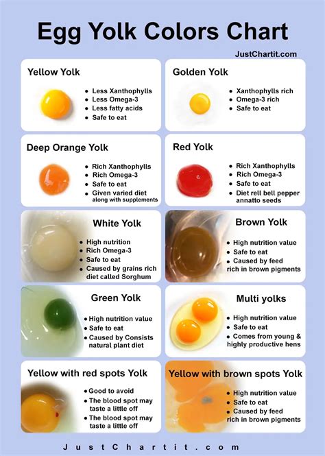 Egg Yolk Colors Chart
