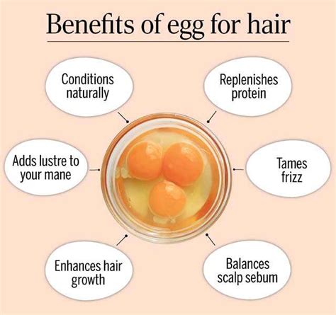 Egg for hair