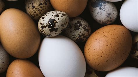 Eggs & Boils: Fact or Fiction?