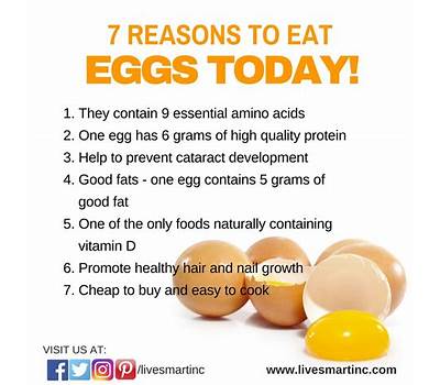 Eggs and Health Benefits