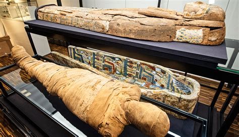 Egyptian Mummies