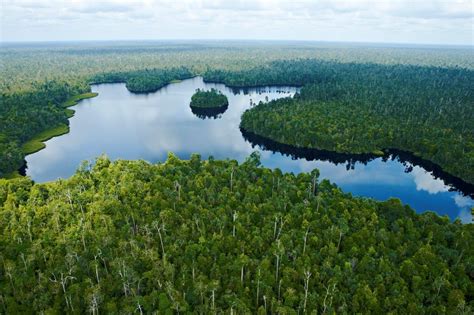 Contoh Soal tentang Ekosistem di Indonesia