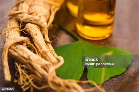 Ekstrak Ginseng