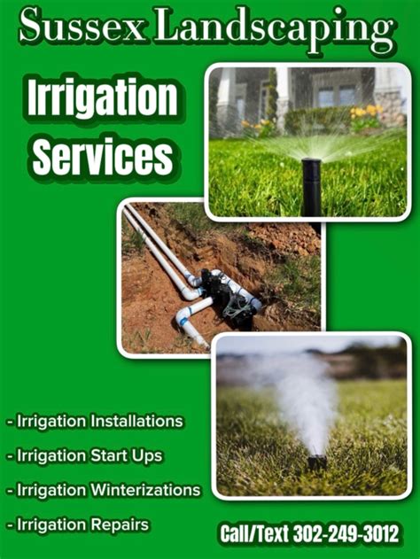 El Gato In Bag | Roblox Item - Rolimon\'s