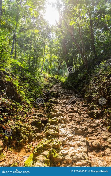 El Limon Waterfall trail