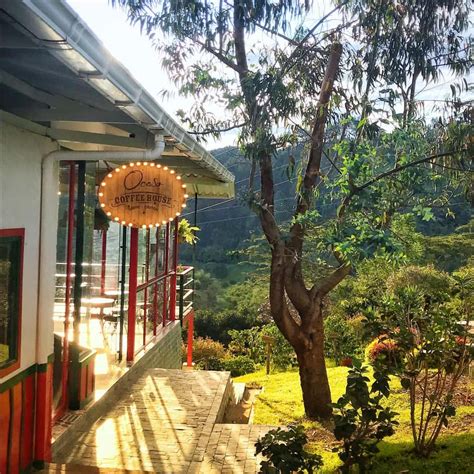 El Ocaso Coffee Farm