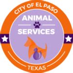 24/7 El Paso Animal Control: Safe and Reliable Support for Your Furry Friends