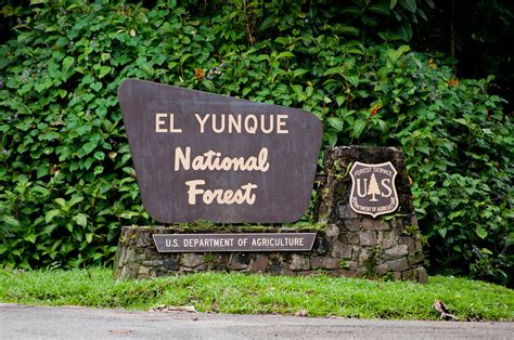 El Yunque Entrance
