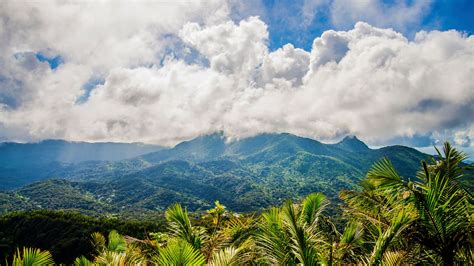 El Yunque Photography