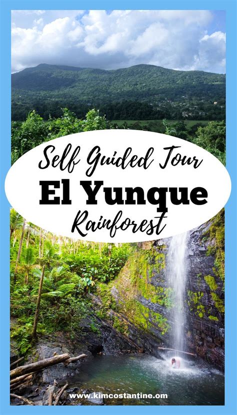 El Yunque Rainforest Guide