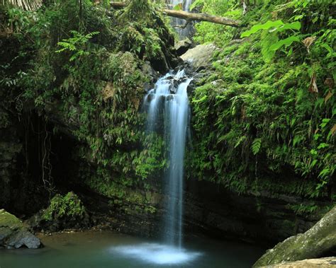 El Yunque Waterfall
