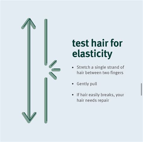 Elasticity Test