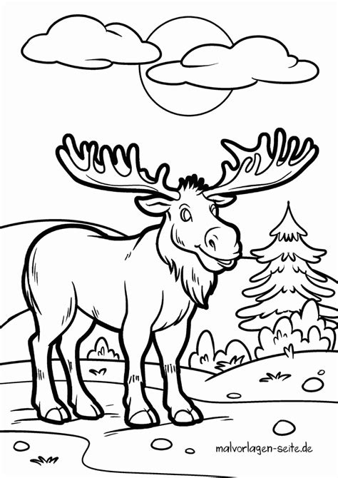 Elch Malvorlage