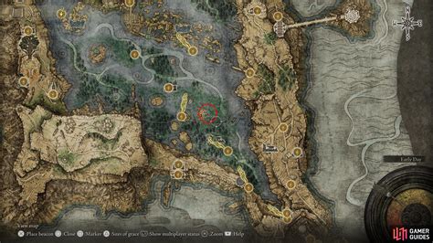 Elden Ring Rya quest summary